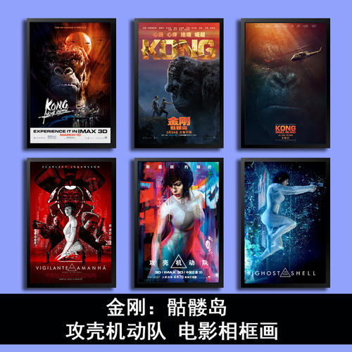 仿制荷兰护照电子版